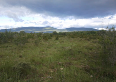 Contreforts des Cévennes