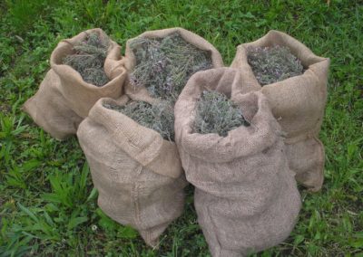 Sec pour les préparations